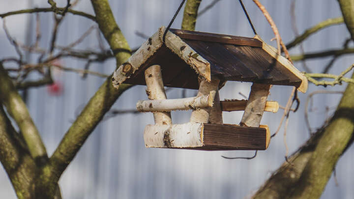 PATKAR Vogelhaus mit Holzdach
